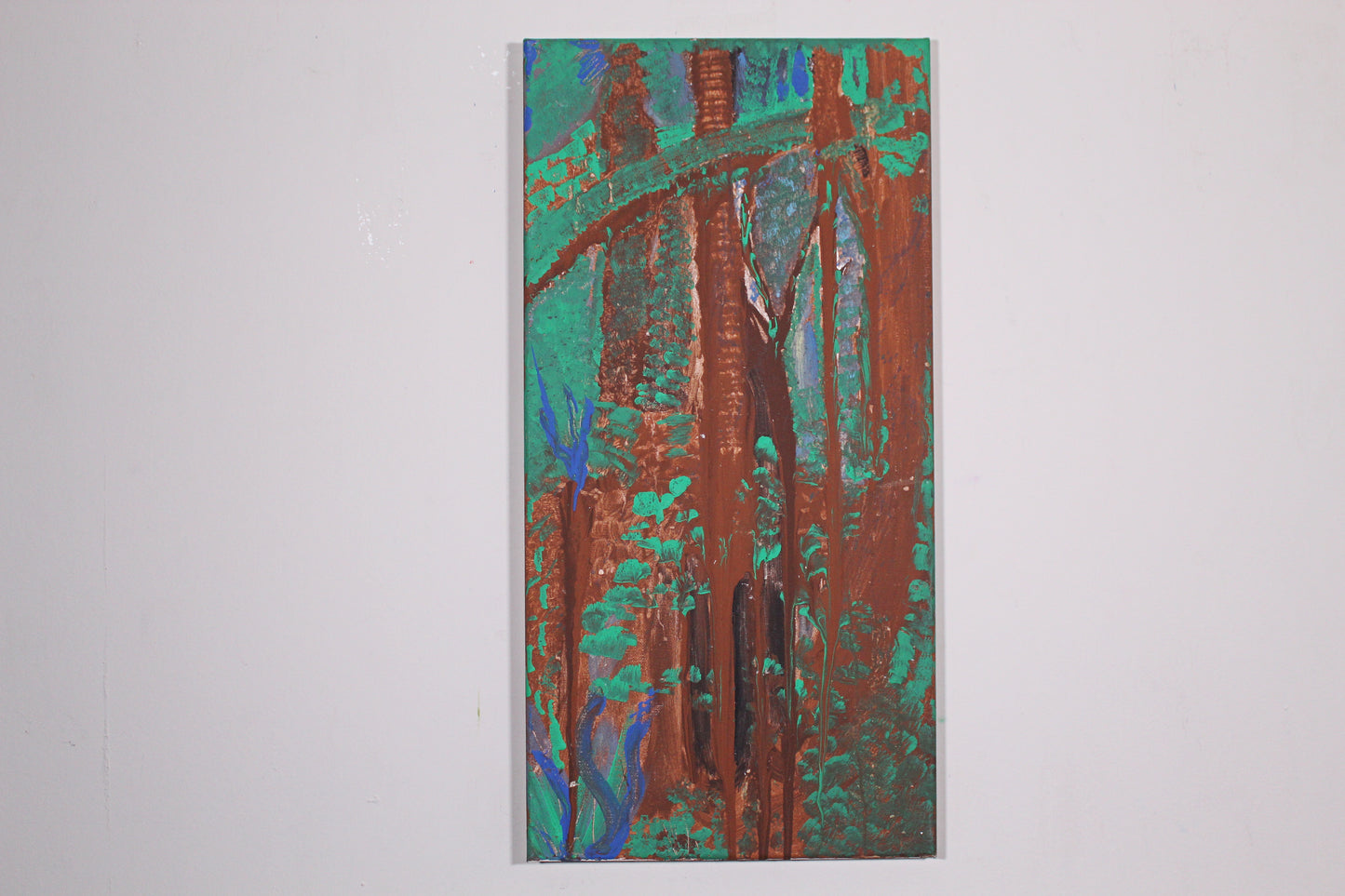 Rainy Forest